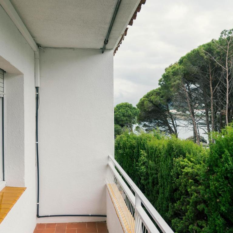Apartaments Falcó - Apartamento de 2 dormitorios - 9