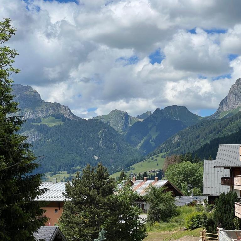 Les 4 Elements - Apt D104 - BO Immobilier- Châtel Multipass 2026 Activités en Été offert par votre hôte - Appartement 2 Chambres - 13