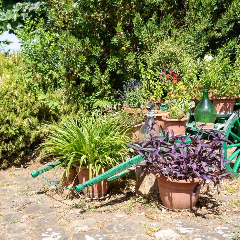 Charming Florentine Hideout - Appartamento con 2 Camere da Letto - 9