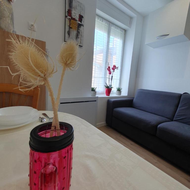 Appart'hôtel, IKIMO 5 appartements entiers à votre disposition au choix - Appartement 1 Chambre - 4