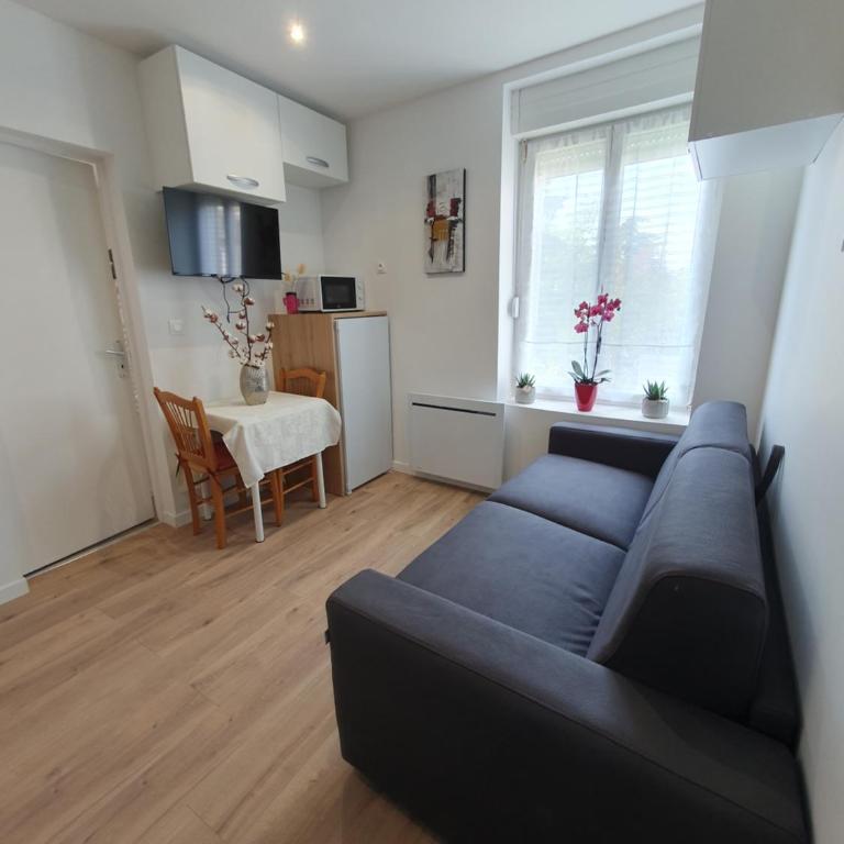 Appart'hôtel, IKIMO 5 appartements entiers à votre disposition au choix - Appartement 1 Chambre - 18
