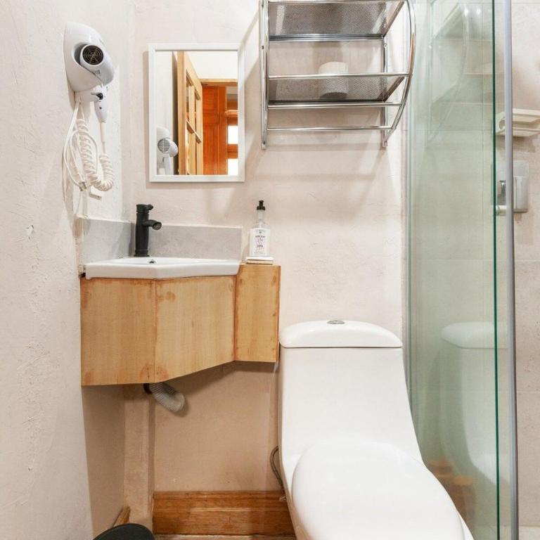 2BR APT w/ terrace and very good location - Two-Bedroom Apartment - 55