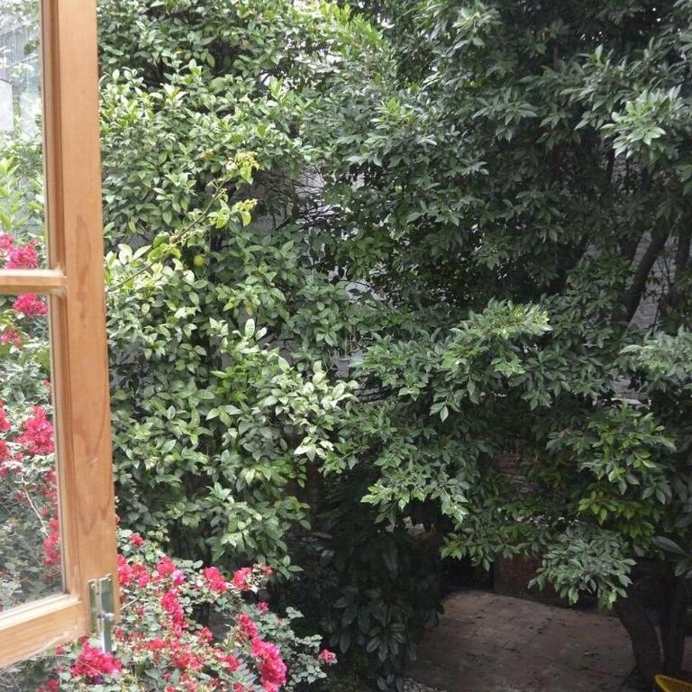 2BR APT w/ terrace and very good location - Two-Bedroom Apartment - 66