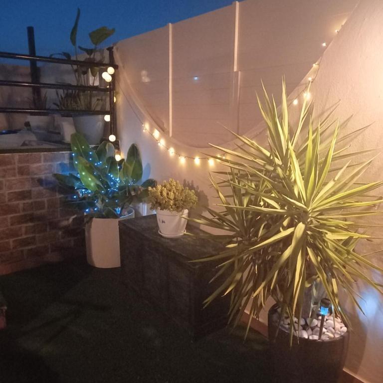 Atico con piscina privada - Apartamento de 2 dormitorios - 19