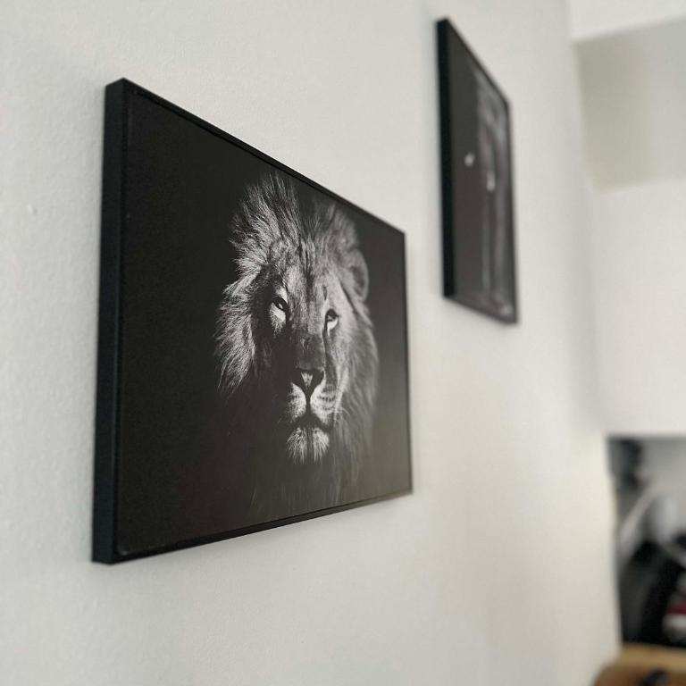 Superbe maison 4 personnes avec Vidéo-projecteur - Appartamento con 1 Camera da Letto - 2