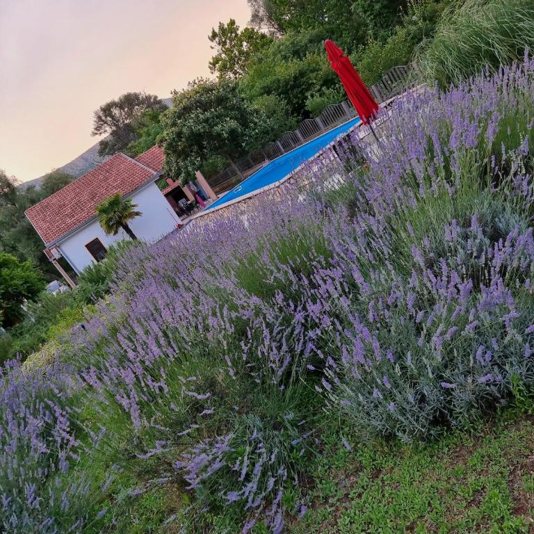 Holiday Home Harmony - Two-Bedroom House - 5