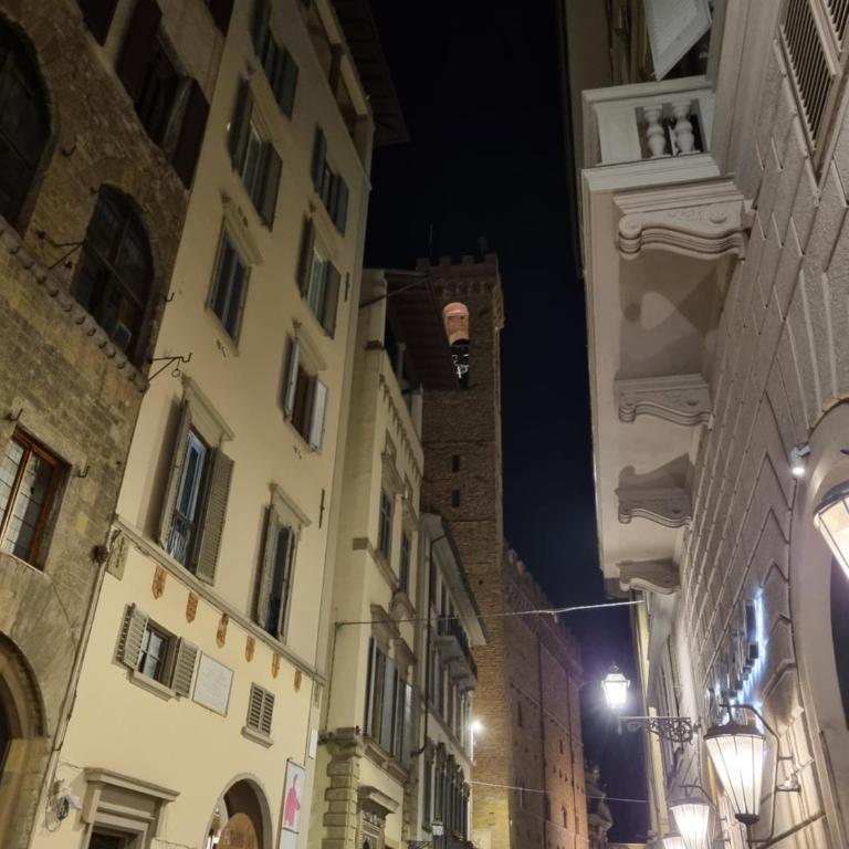 LA SEDE DELL'ARTE Monolocale Studio e Camere in Torre Medievale vicino a Duomo e Piazza Signoria - Monolocale su 2 Livelli - 40
