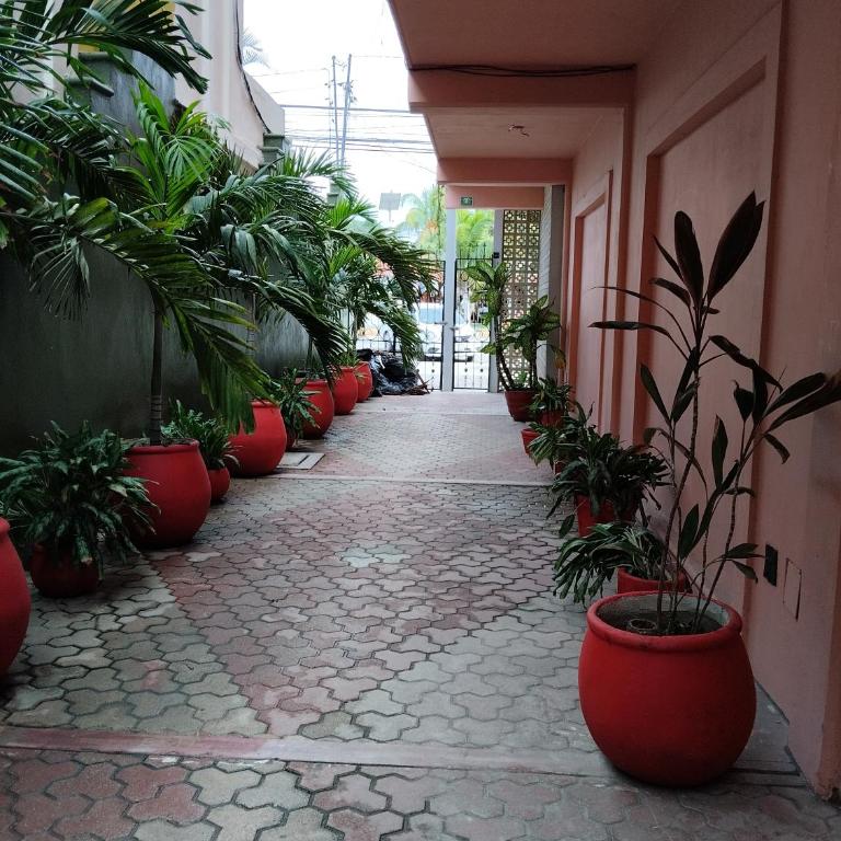 Hotel Tulum Centro, Party Hotel - Suite - 4
