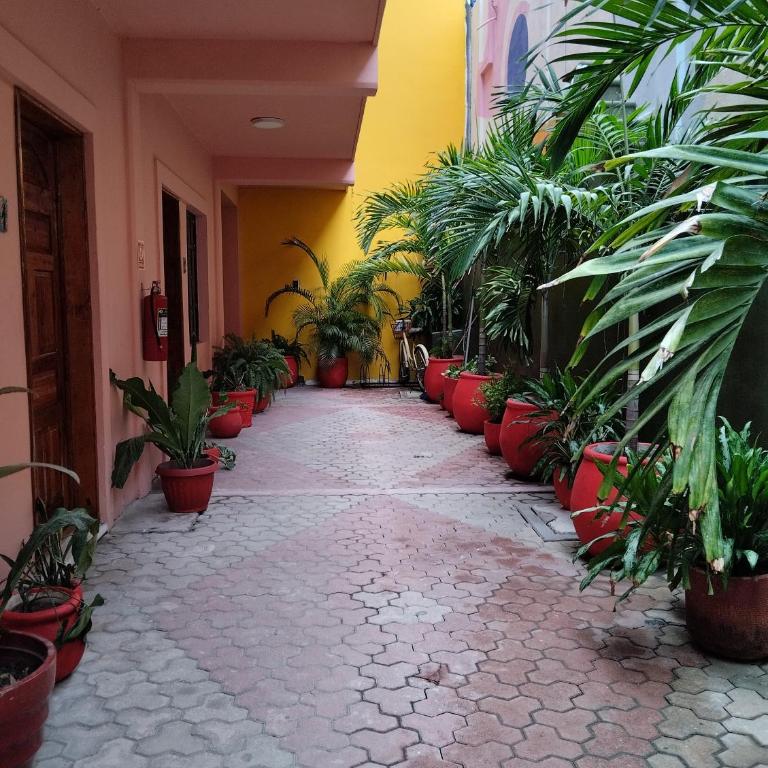 Hotel Tulum Centro, Party Hotel - Suite - 2
