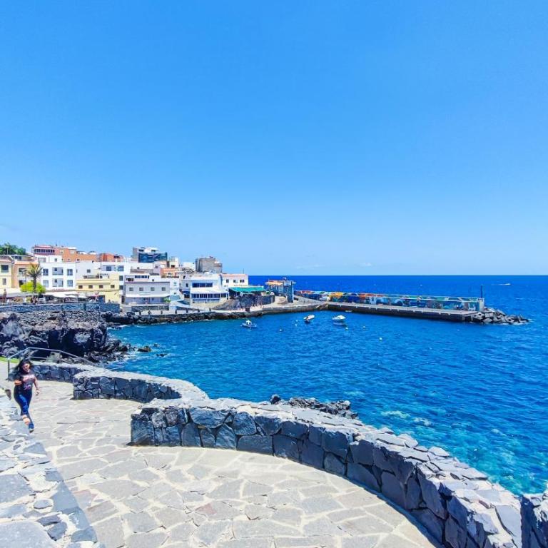 Spacious apartment with private garden in Tenerife south - Apartamento de 1 dormitorio - 27