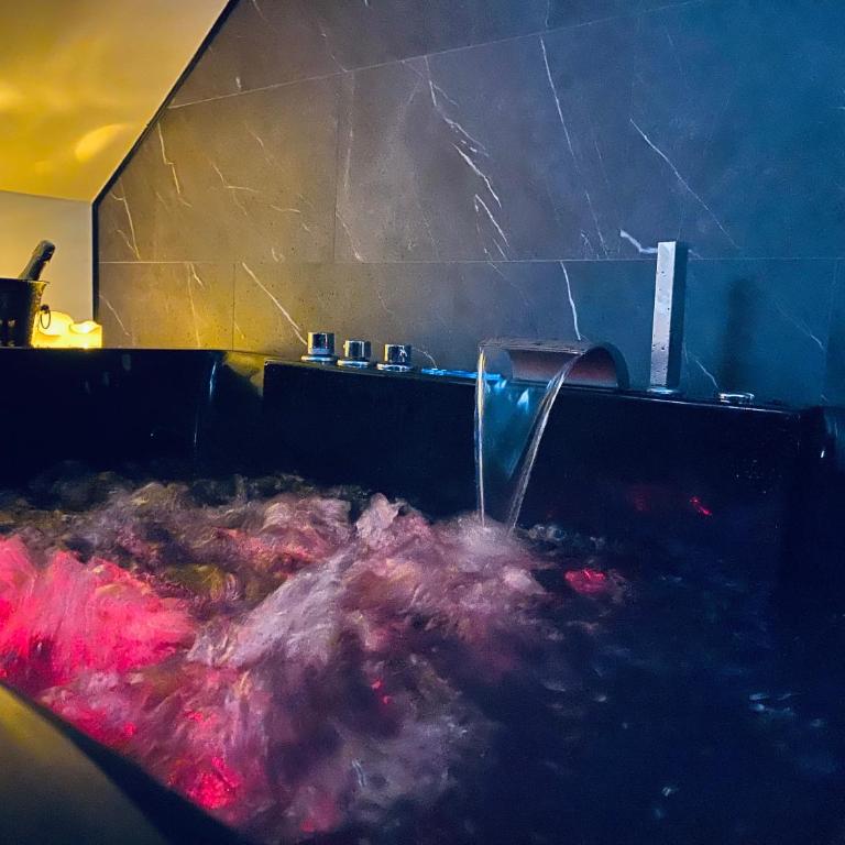 Saphir Spa - Sauna Balnéo Chromothérapie Massage - Apartamento de 1 dormitorio - 33
