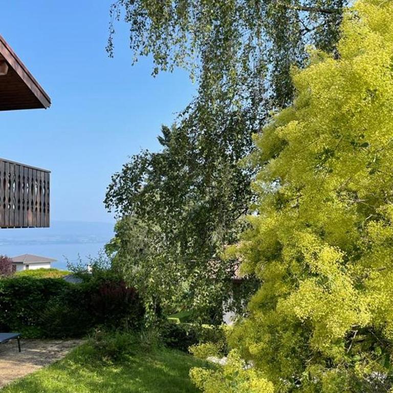 Appartement cozy avec terrasse, Wi-Fi et parking à Évian-les-Bains - One-Bedroom Apartment - 16