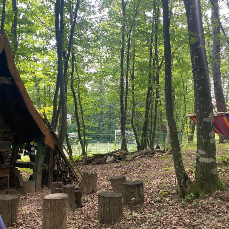 Villa Gagula - Kuća sa 3 Spavaće Sobe - 31