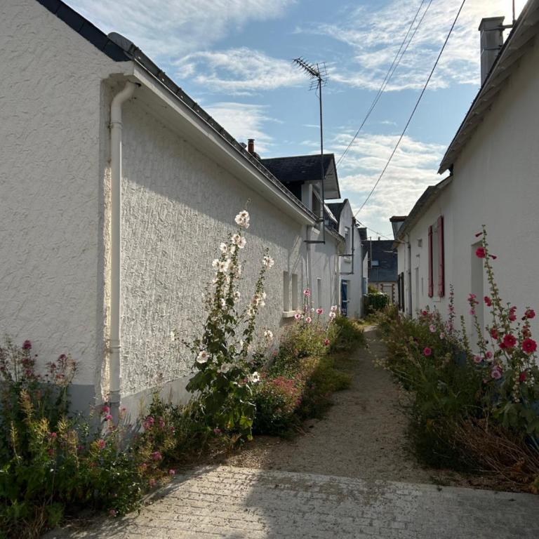 Villa en bord de mer - Haus mit 2 Schlafzimmern - 2