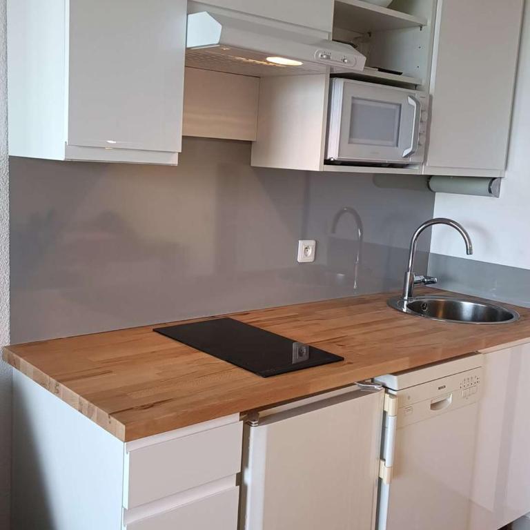 Studio 4 Pers à Villeneuve-Loubet - FR-1-252A-38 - Apartment (4 Erwachsene) - 8