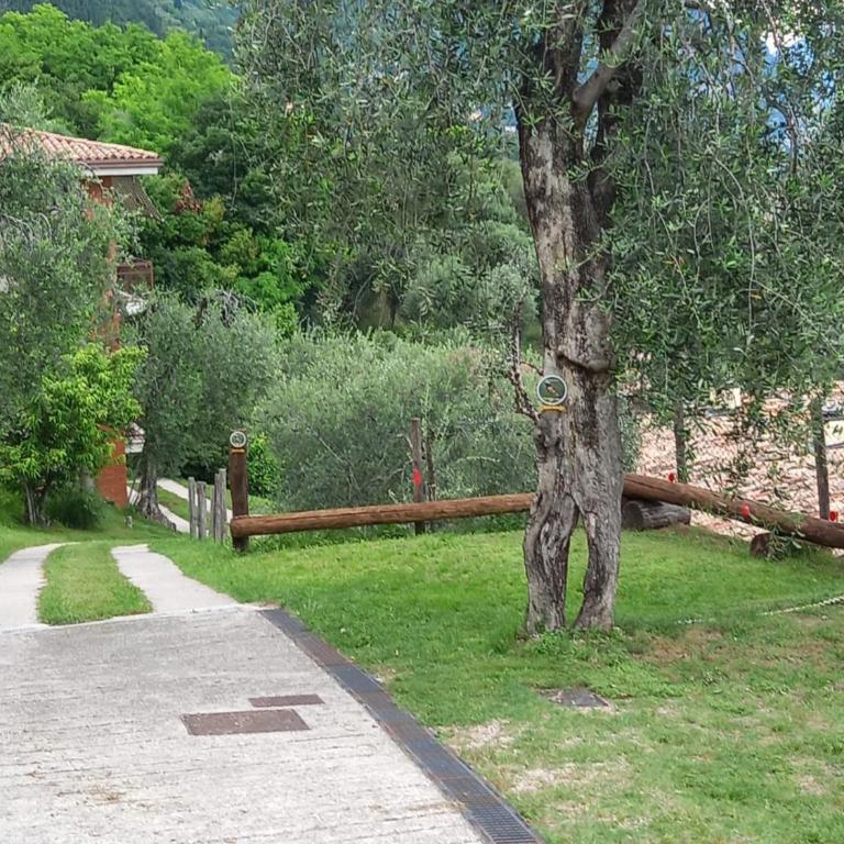 Casa del Codirosso - Casa con 3 Camere da Letto - 36