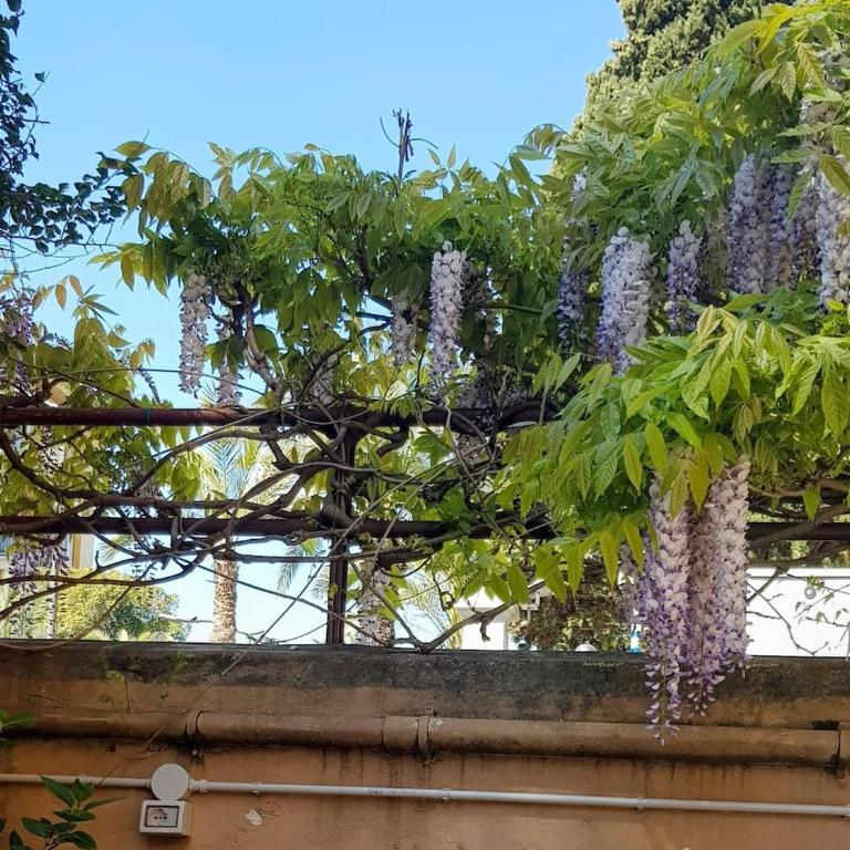 i gabbiani - Appartamento con 2 Camere da Letto - 9