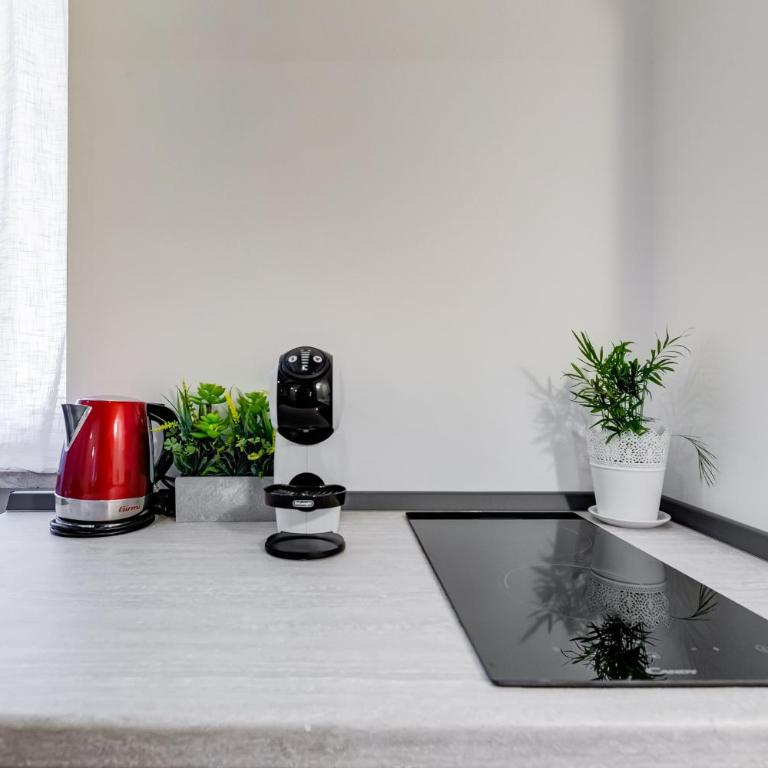Pigna suite - Appartamento con 1 Camera da Letto - 29