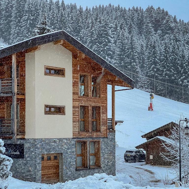 3-bedroom Duplex Apartment, Ski in-out - Appartement 3 Chambres - 19