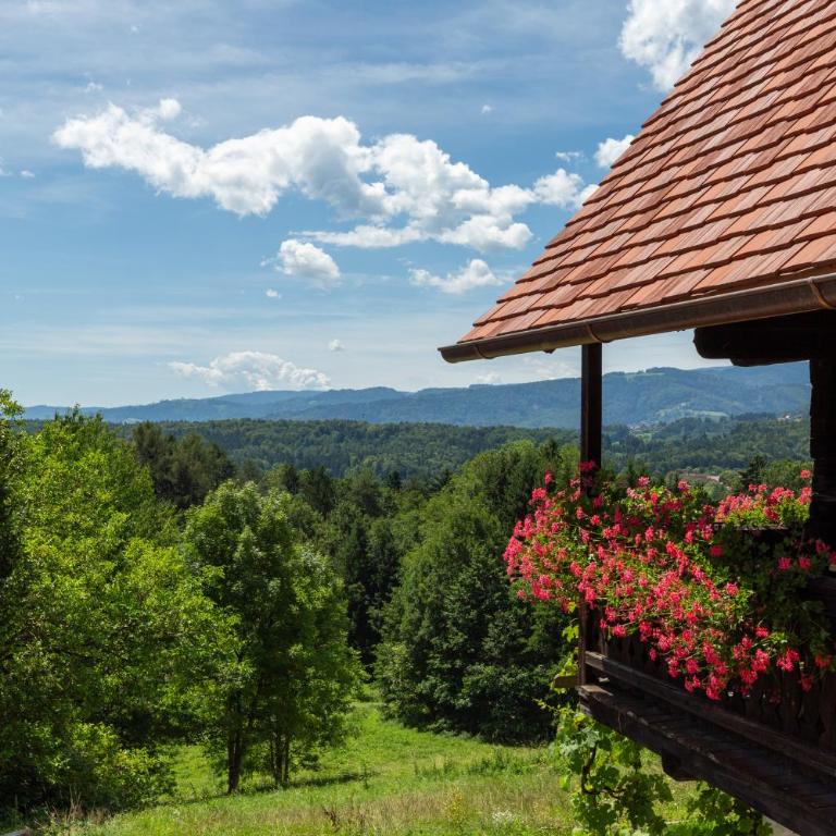 dieKELLERSTÖCKL - Das Weinstöckl S24 mit Pool - Ferienhaus - 40