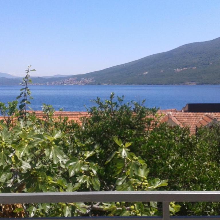 Citrus 2a - Apartman sa 1 Spavaćom Sobom - 20