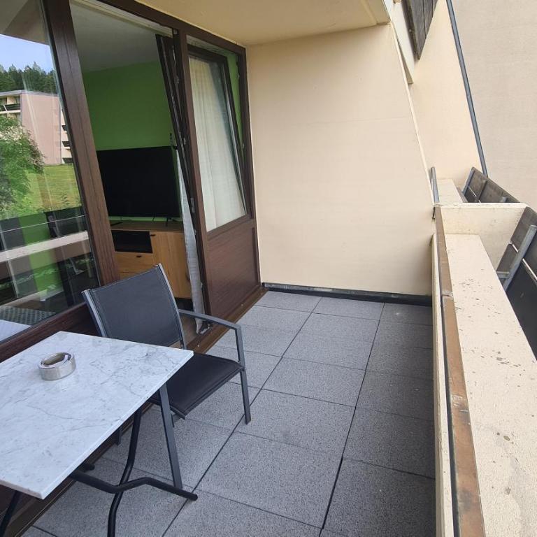 King Apartment Luftkurort Bayerischen Wald - Apartment mit 2 Schlafzimmern - 12