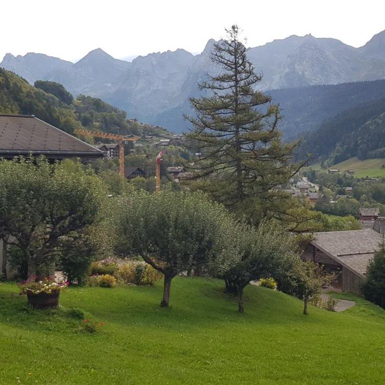 La petite Anfiane - Chalet - 36