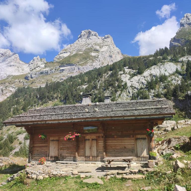 La petite Anfiane - Chalet - 37
