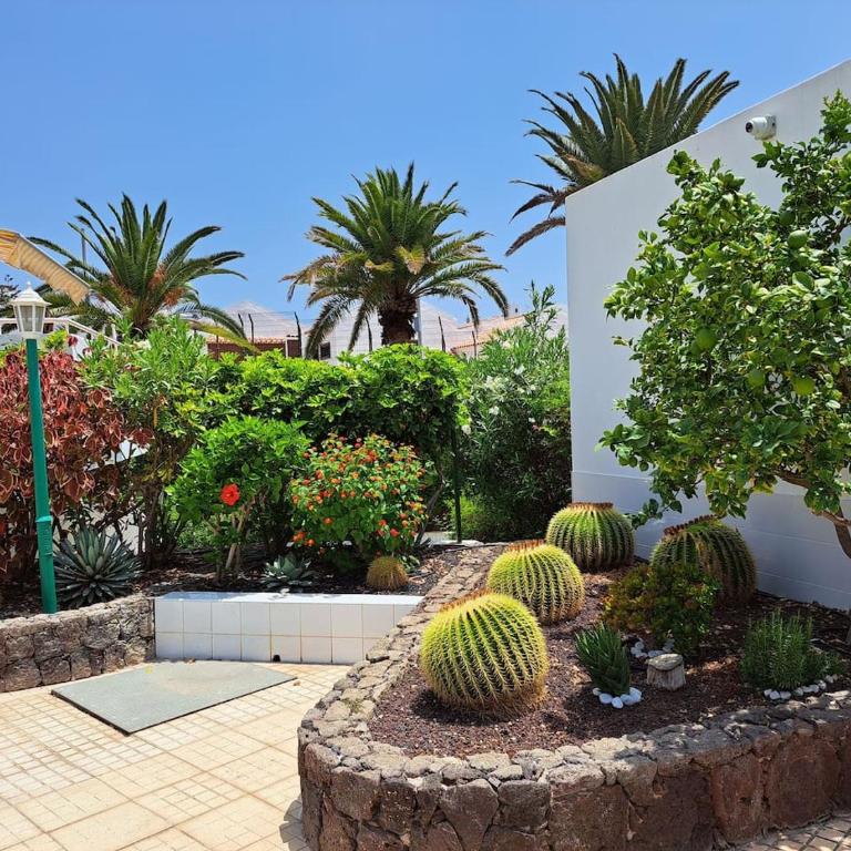 Heated Pool Costa Adeje in front of a beach - One-Bedroom Apartment - 6