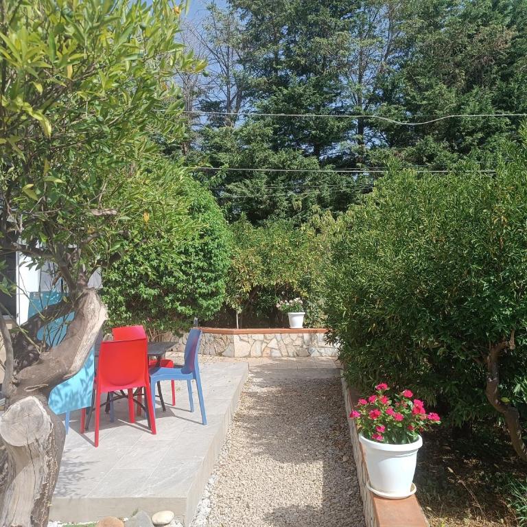 Duplex House - Vacation Home - 23