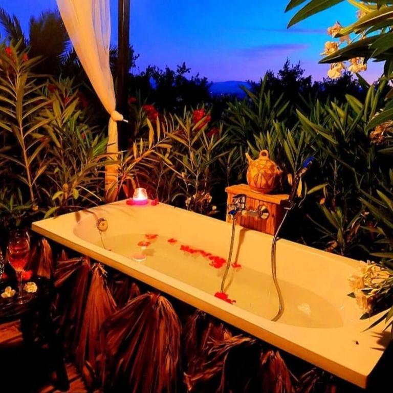 Beautiful Casita with hot tub under stars - Habitación Doble con vistas al parque - 5