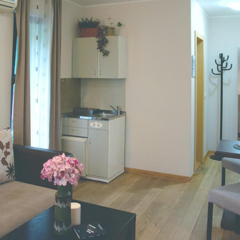 Vila Ljubica - Apartman sa 1 Spavaćom Sobom - 8