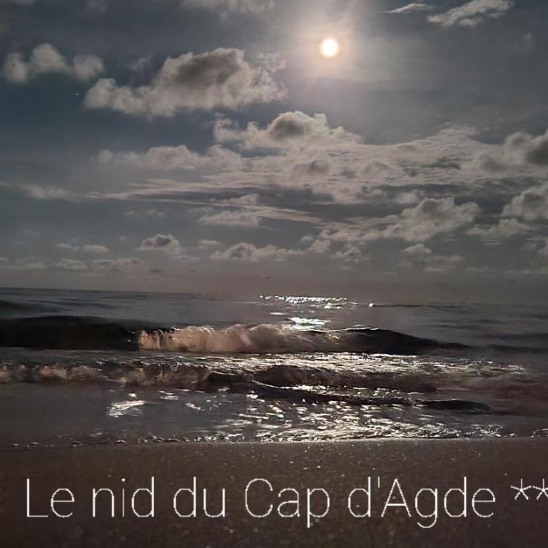 Résidence de standing la Pêcherie Spacieux T3 comme un cocon familial vue mer et sur l'avant port Sur le bout du bout de Cap d'Agde seule cap en Occitanie - Apartment with Sea View - 39