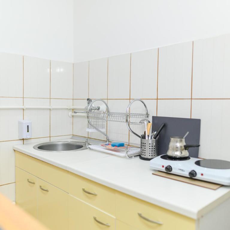Villa Milovanovic - Apartman s 1 Spavaćom Sobom i Balkonom - 4