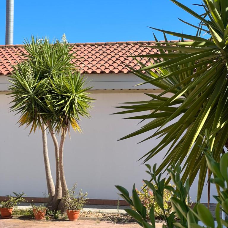 #11 Mini ESTUDIO FAMILIAR AYAMONTE - Apartamento de 1 dormitorio - 9