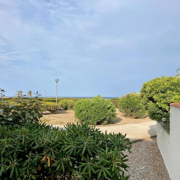 Le grand large 3 pièces en rez de jardin, avec terrasse et accès direct à la plage à pied - Appartement 2 Chambres - 1