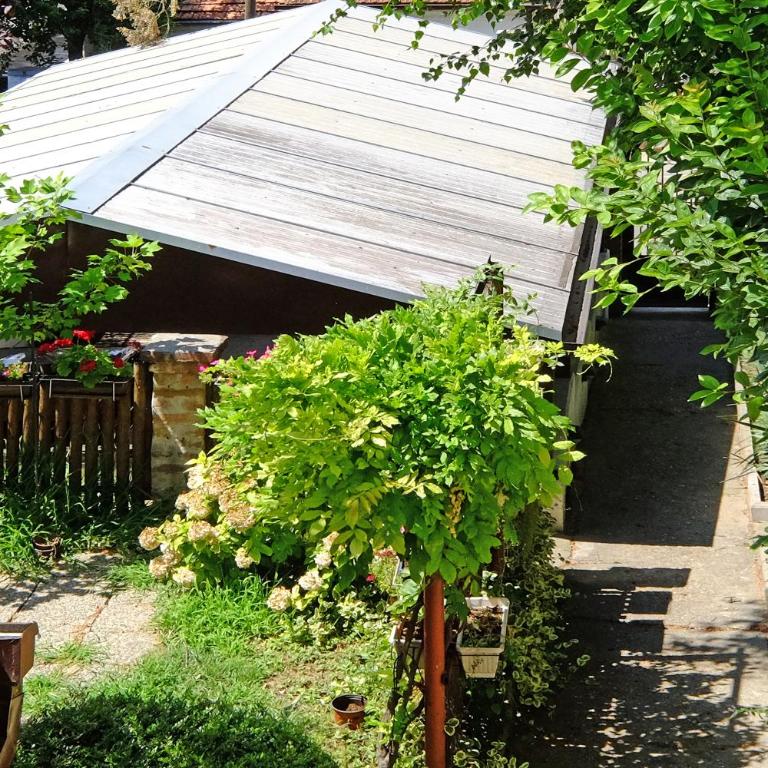 Red Tree Apartment - Apartman sa 1 Spavaćom Sobom - 26