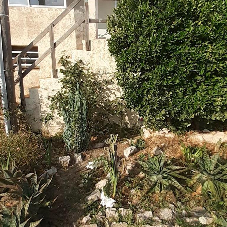 MAISON VUE MAGISTRALE SUR LE PORT ET CALANQUES DES GOUDES MARSEILLE - Three-Bedroom House - 15