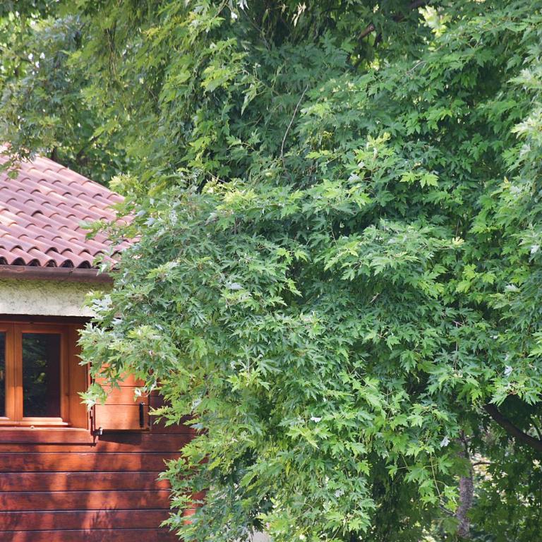 La Villa nel parco - Villa 3 Chambres - 6