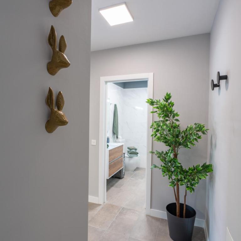 Magnífico piso 2 dormitorios con vistas - Apartamento de 2 dormitorios - 16