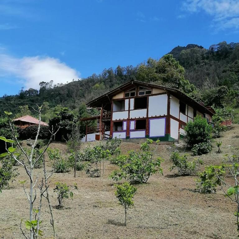 Casa el edén - Casa de 3 dormitorios - 31