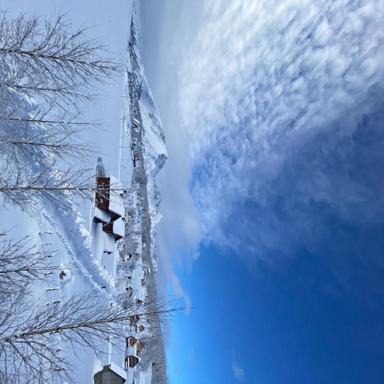 Guest house Sky Blue - Two-Bedroom House - 24