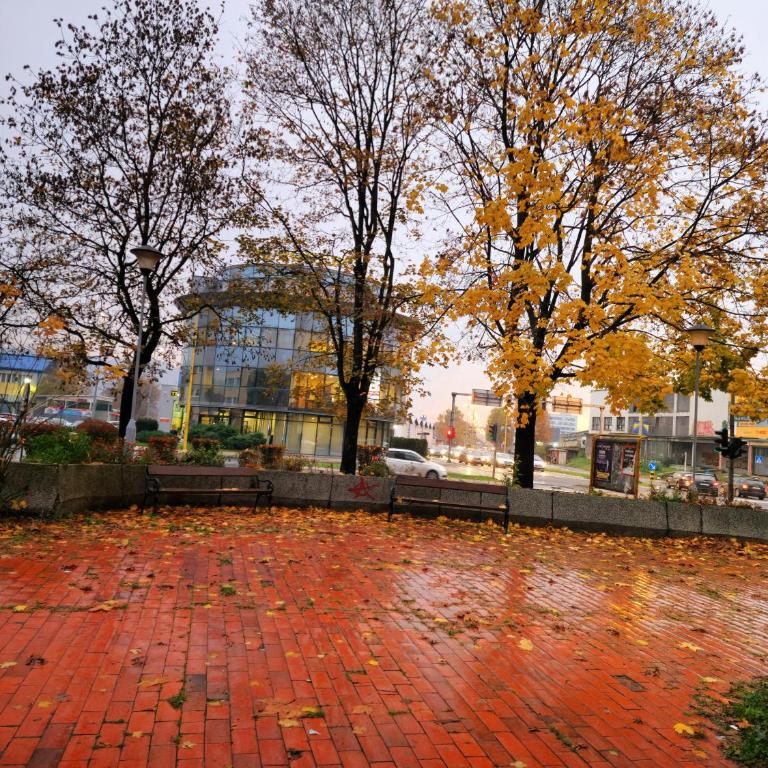 Luxury Apartment Tuzla - Apartman sa 2 Spavaće Sobe - 21