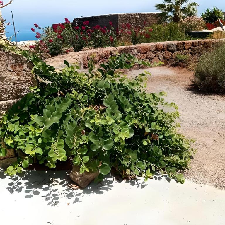 Dammuso Pantelleria - Fiori D'Ossidiana - Apartment mit 1 Schlafzimmer - 38
