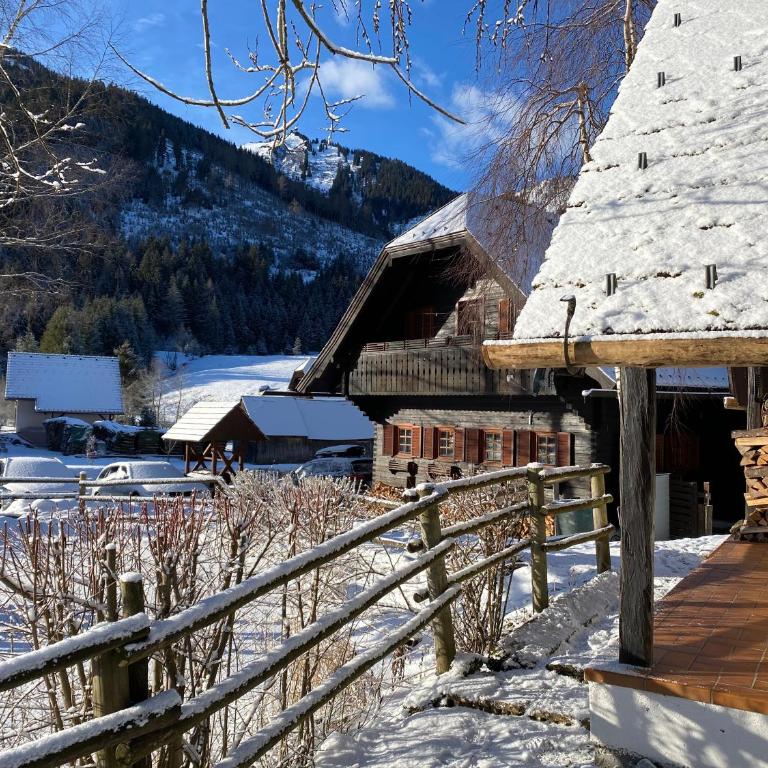 Ferienhaus Fischerhütte Rassis Feriendorf Donnersbachwald - Ferienhaus - 8