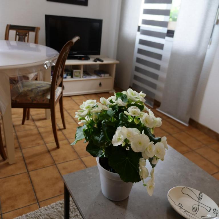 Chez Martine Appartement tout confort entièrement indépendant - Appartement 1 Chambre - 17
