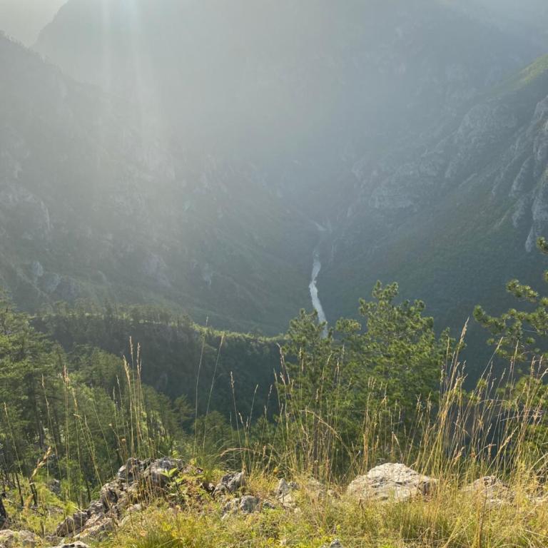Kuća na Metaljci - Kuća sa 4 Spavaće Sobe - 25