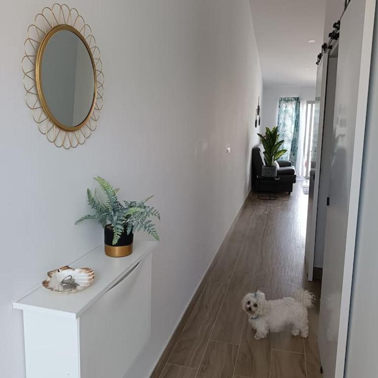 La Casa del descanso - One-Bedroom Apartment - 9