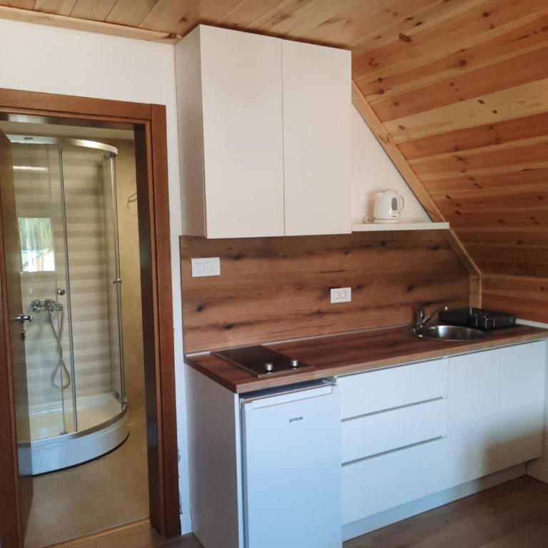 View of Durmitor - Apartment with Garden View - 10