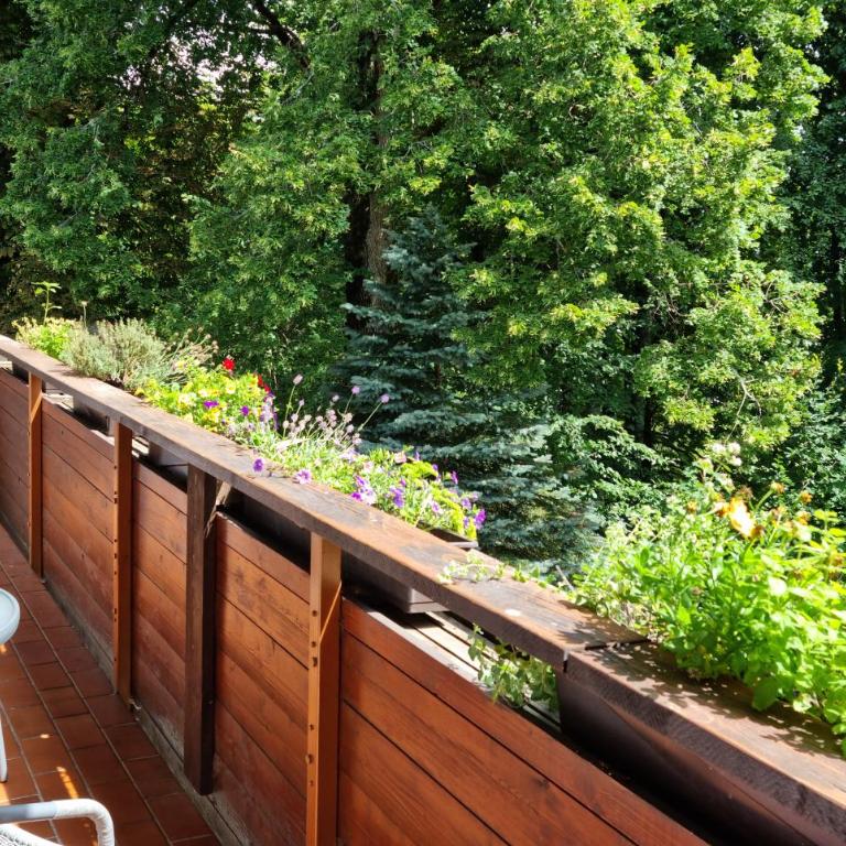 Villa im Wald - Apartment mit 1 Schlafzimmer - 12